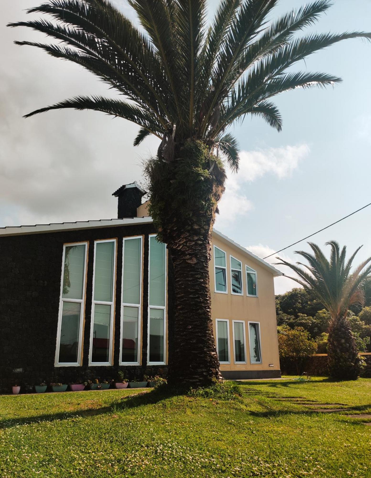 Palmtree 37 Al Apartamento Praia da Vitória Exterior foto